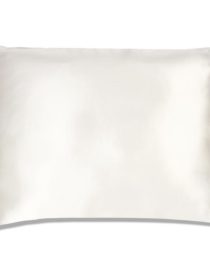 buy pure mulberry silk pillow cover